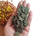 FLOR PRENSADA VERDE MILITAR C/ 50 UND