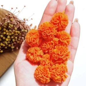 POMPOM DE MALHA 2,5CM LARANJA C/ 10 UND
