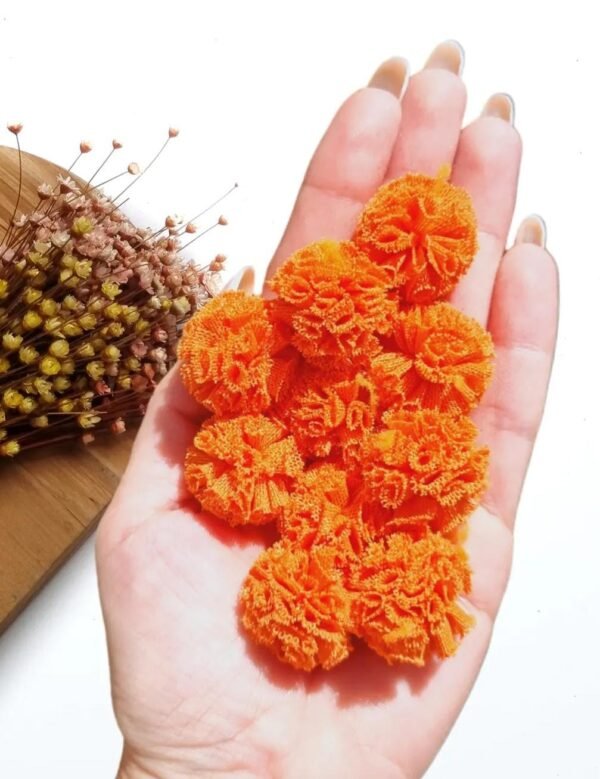 POMPOM DE MALHA 2,5CM LARANJA C/ 10 UND