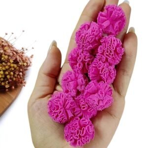 POMPOM DE MALHA 2,5CM PINK C/ 10 UND