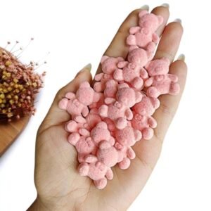 APLIQUE URSINHO AVELUDADO 2,8 CM ROSA C/ 2 UND