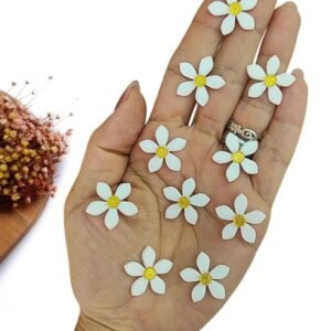 APLIQUE EM ACRÍLICO FLOR BRANCO C/ MIOLO DOURADO 2 CM C/ 2 UND